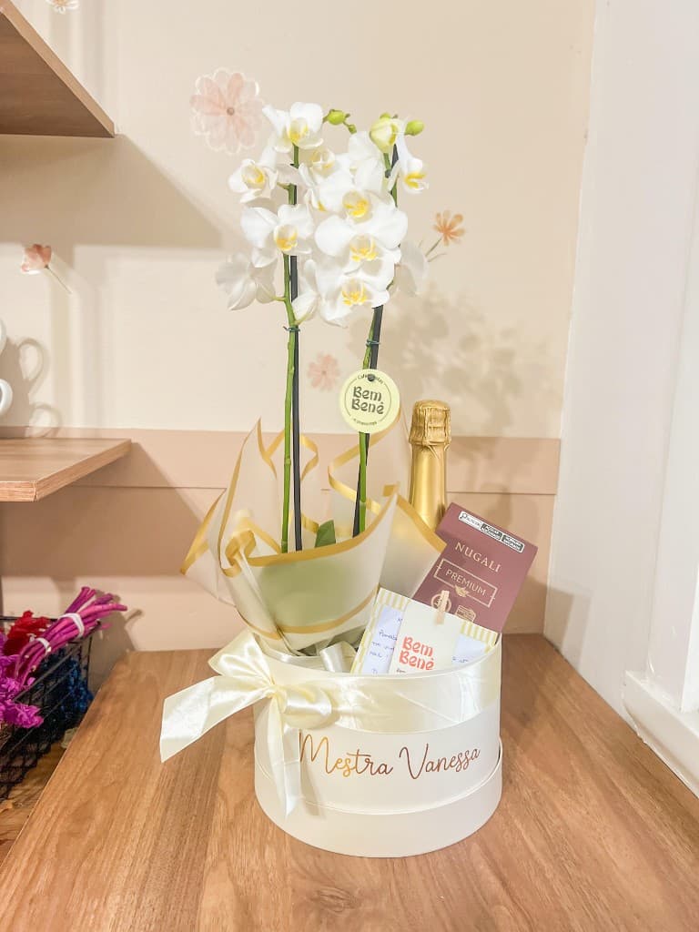 Box Orquídea